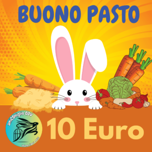 Buono Pasto Bunny 10