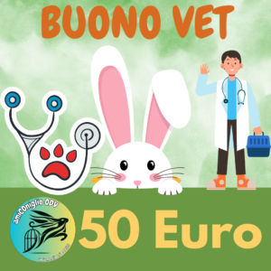 Buono Vet Bunny 50