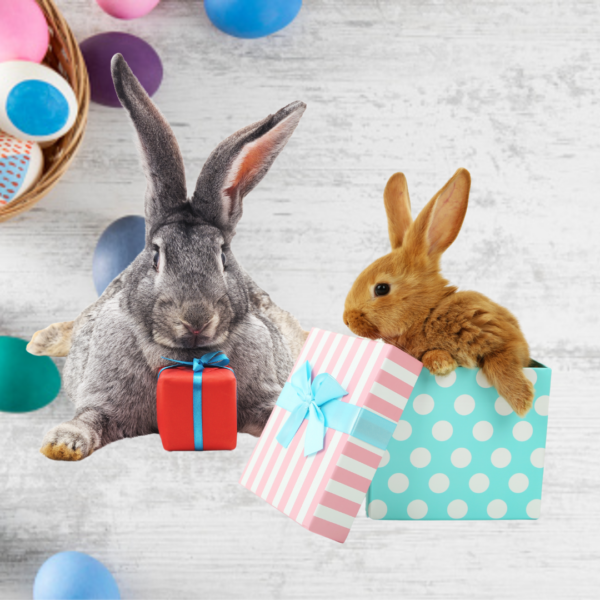 Biglietto Lotteria Pasqua 2025 - immagine 4